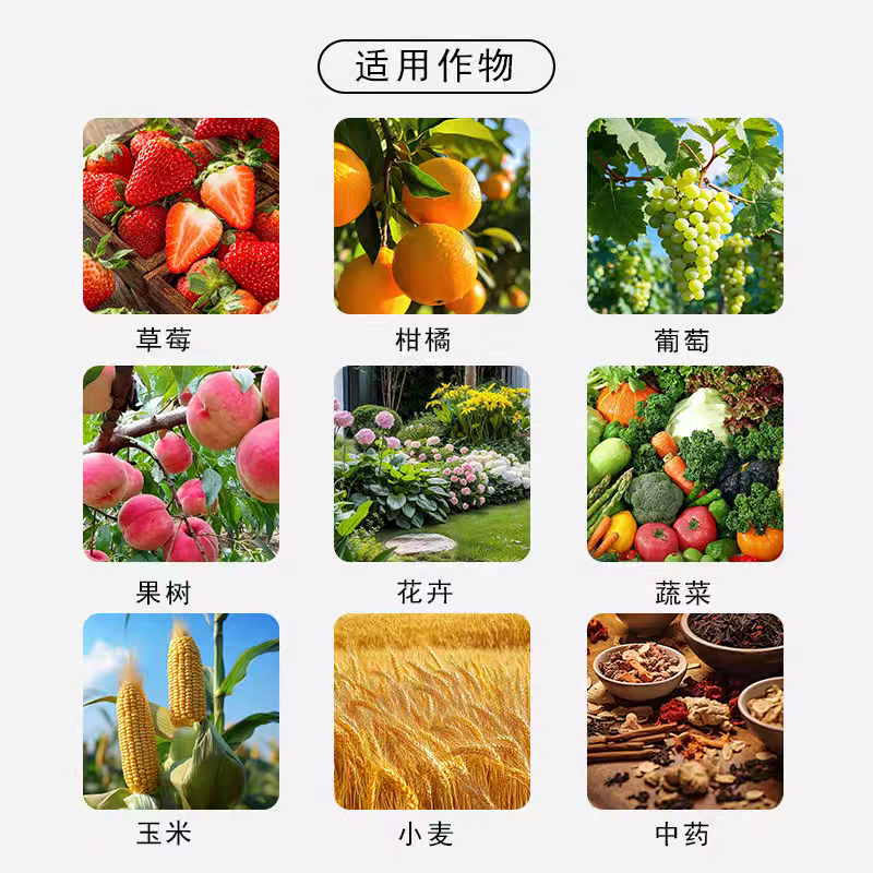 鱼蛋白水溶肥氨基酸旗舰店原浆海藻有机肥叶面瓜果蔬菜花卉营养液,淘宝优惠券,粉丝福利购,淘宝优惠卷