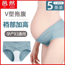 Pure cotton pregnant womans underpants female pregnancy mid stage special early medium size 200 catty low waist antibacterial pregnancy