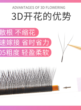 0.05三叶草睫毛美睫拾二花房