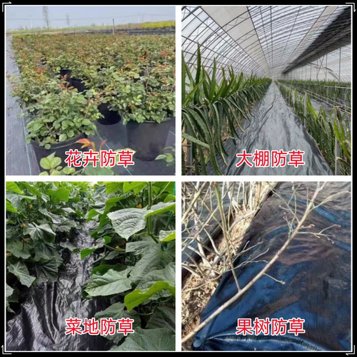 农用防草布除草布果园果树切片保湿耐用园艺抗老化遮盖草地布地丁 - 图2