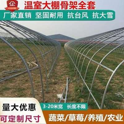 大棚钢管骨架培育温室挡风S瓜果结B实养G殖农场椭圆形农业疏菜