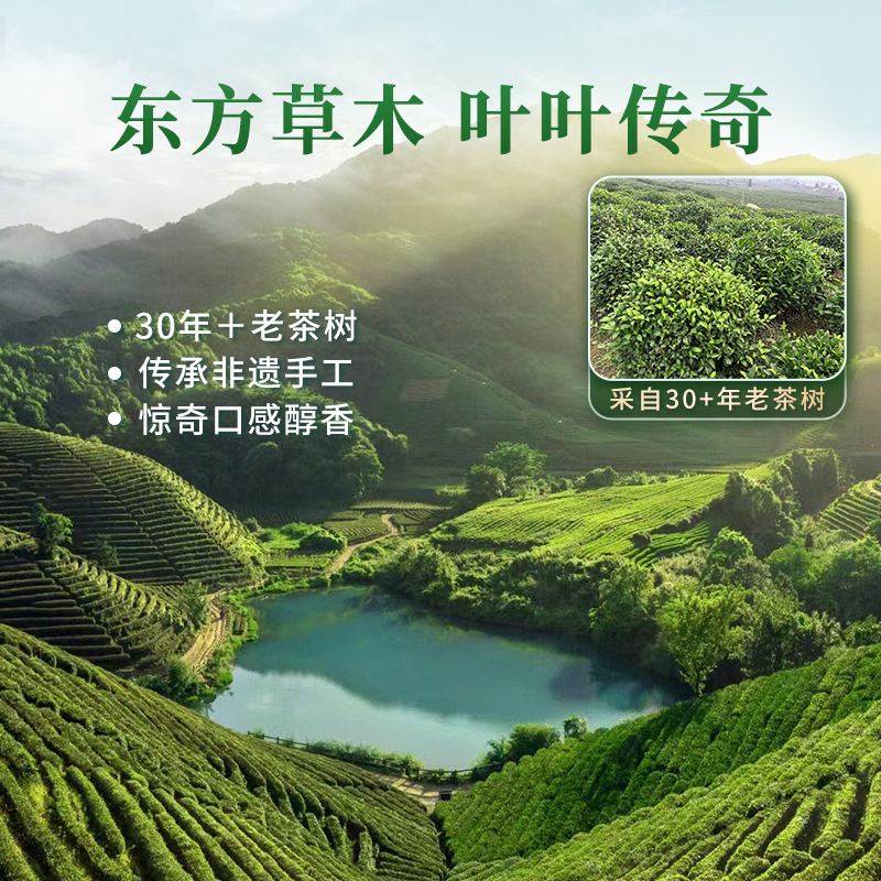 老茶树】西湖工夫明前龙井茶2024新茶杭州茶叶自己喝特级绿茶250g - 图1