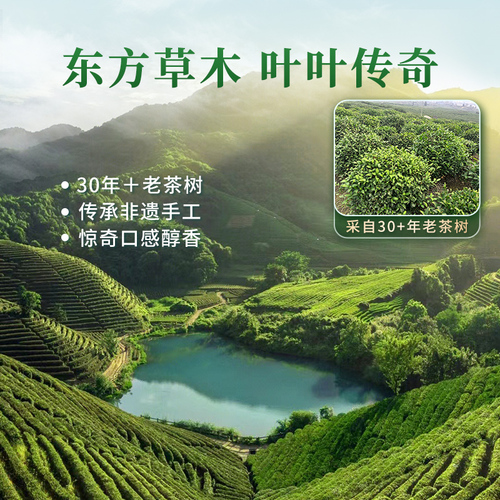 老茶树】西湖工夫明前龙井茶2024新茶杭州茶叶自己喝特级绿茶250g