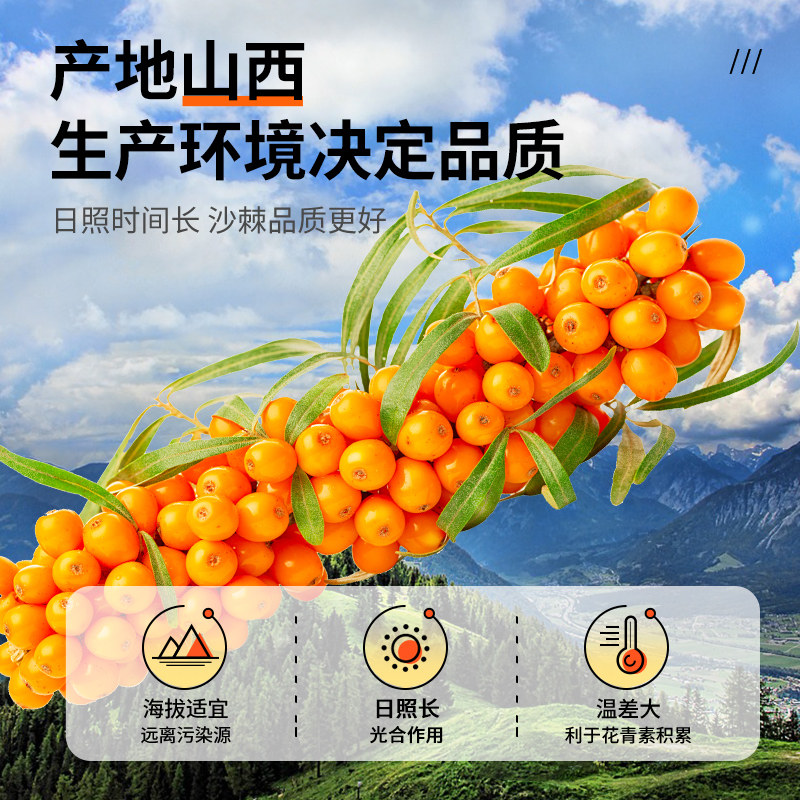 云中紫塞280ml*12罐装沙棘汁饮料山西大同特产生榨沙棘补充VC果汁,淘宝优惠券,粉丝福利购,淘宝优惠卷