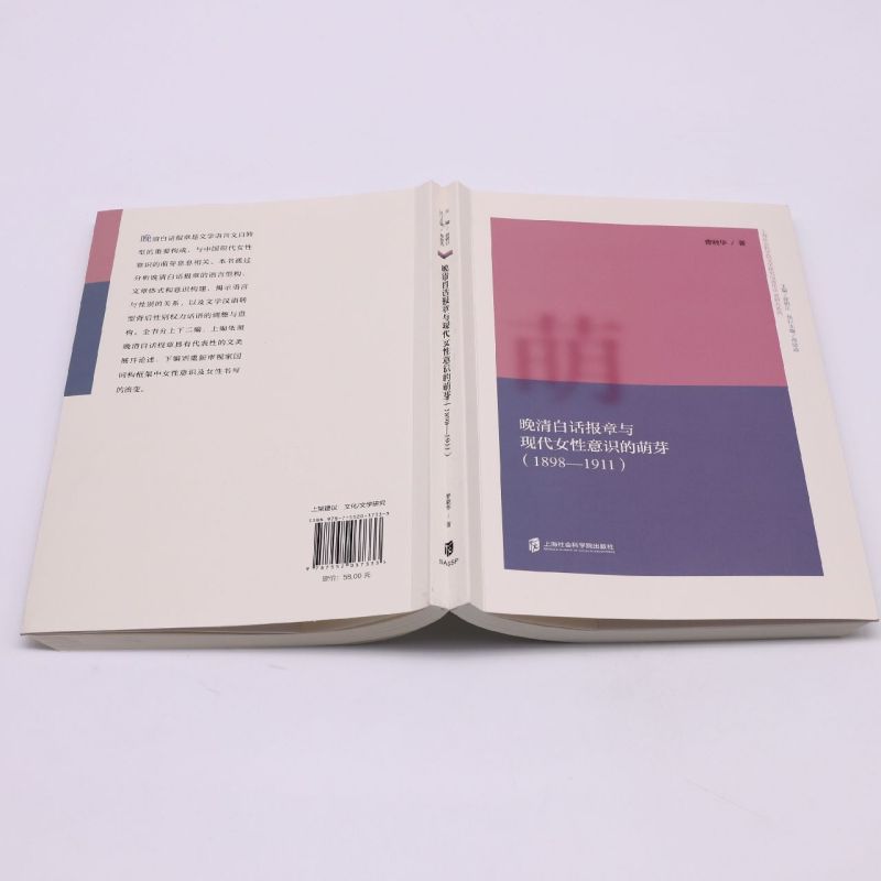 晚清白话报章与现代女性意识的萌芽(1898-1911)/上海社会科学院文学研究所青年学者研究系列 - 图2