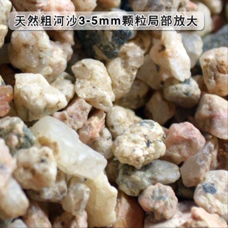 天然粗河沙鱼缸造景底PMG沙多肉铺面花细子河沙粒养种植沙颗土装 - 图1