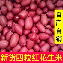 Red Leather Peanuts Rice 5 Catty New Goods Small Grain Raw Flowers Raw Jen Farmhouse Four Grain Red Flowers Red Coat Peanut Miren 2 catty