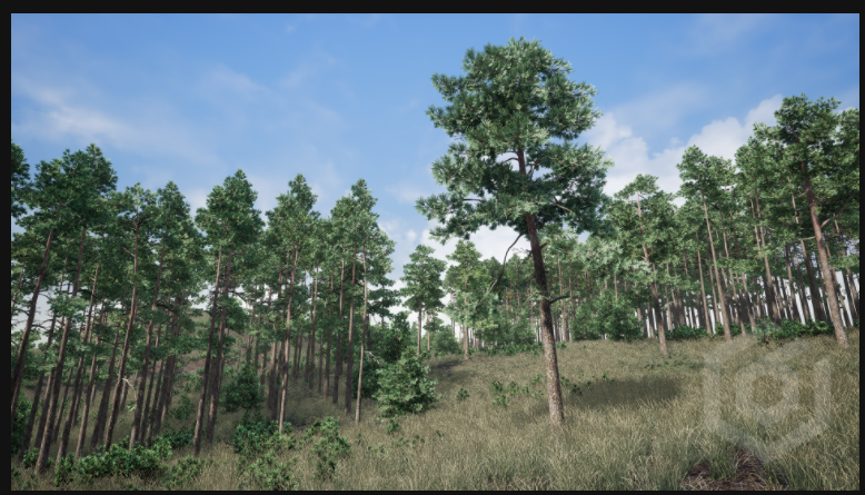 UE4森林松树树木UE5植物道具Trees Pine Tree - 图2