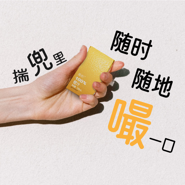  柠檬共和国果味/风味饮料