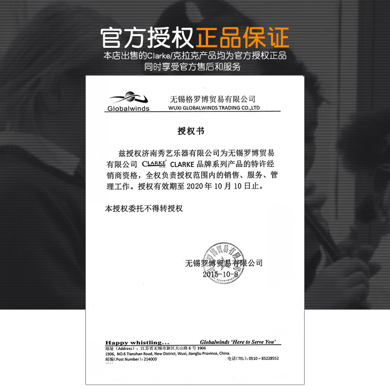 新款Clarke克拉克爱尔兰哨笛锡笛儿童初学萧笛专业金属笛子乐器D - 图1