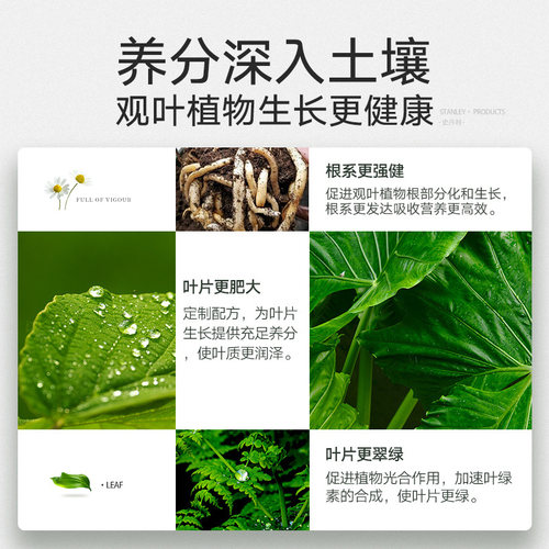 史丹利幸福树专用颗粒肥料花肥绿叶盆景盆栽营养液黄叶室内绿植施 - 图2