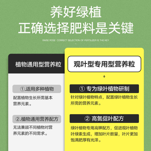 史丹利幸福树专用颗粒肥料花肥绿叶盆景盆栽营养液黄叶室内绿植施 - 图1