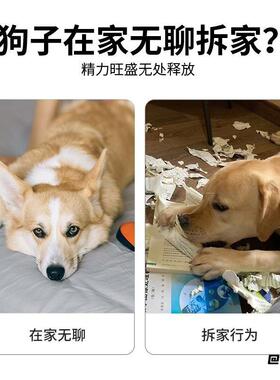 宠物响纸消耗狗狗仿真报纸解闷自嗨互动玩具体力幼犬发声居家逗狗