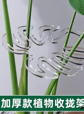 春雨固定夹绿植物花物枝杆植物支撑架塑料神器辅助植被固定器花槽