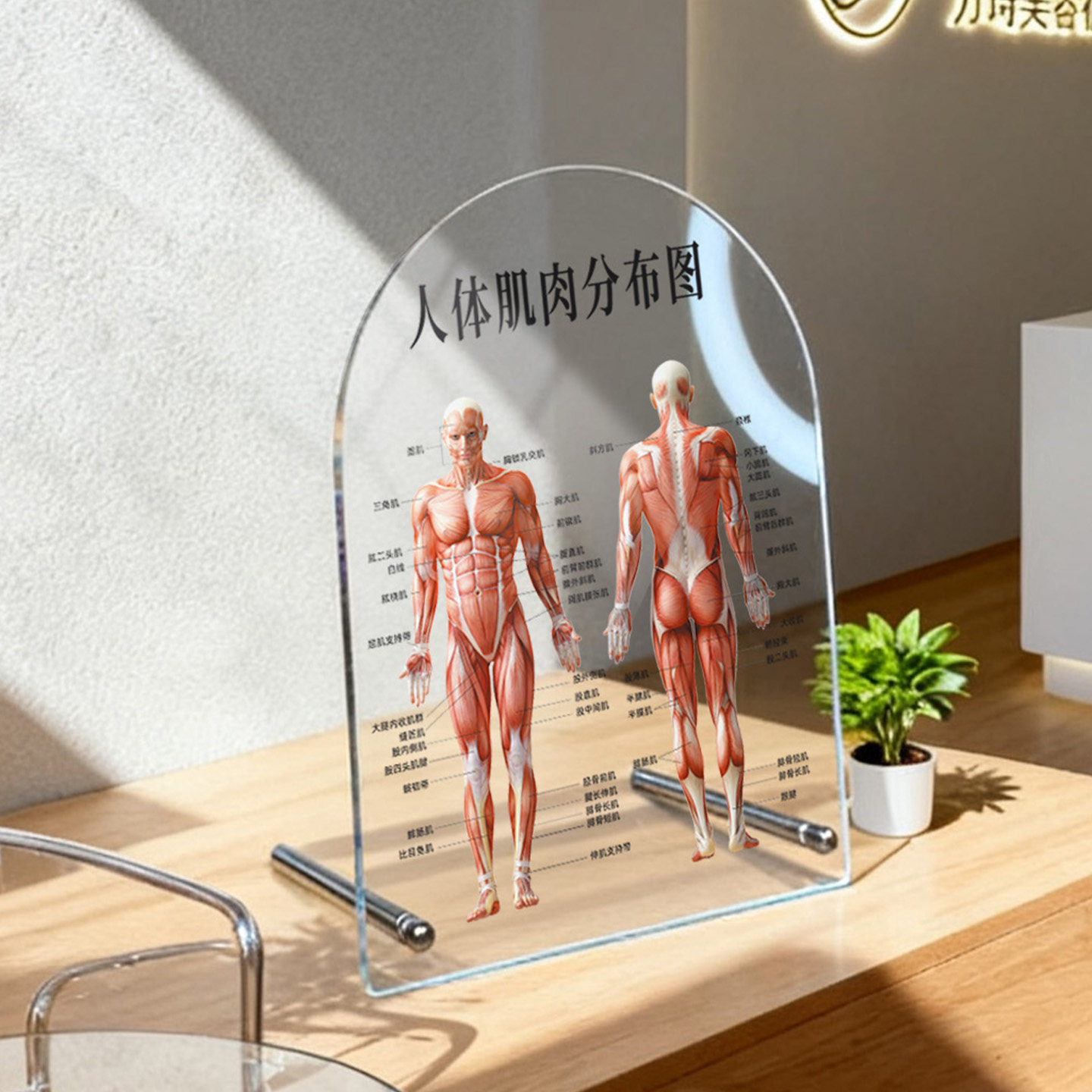 美容院台卡摆台定制透明水光针面部诊皮肤结构分层抗衰代谢定做医美肌肤中胚层解剖图立牌桌牌模型设计展示牌,淘宝优惠券,粉丝福利购,淘宝优惠卷