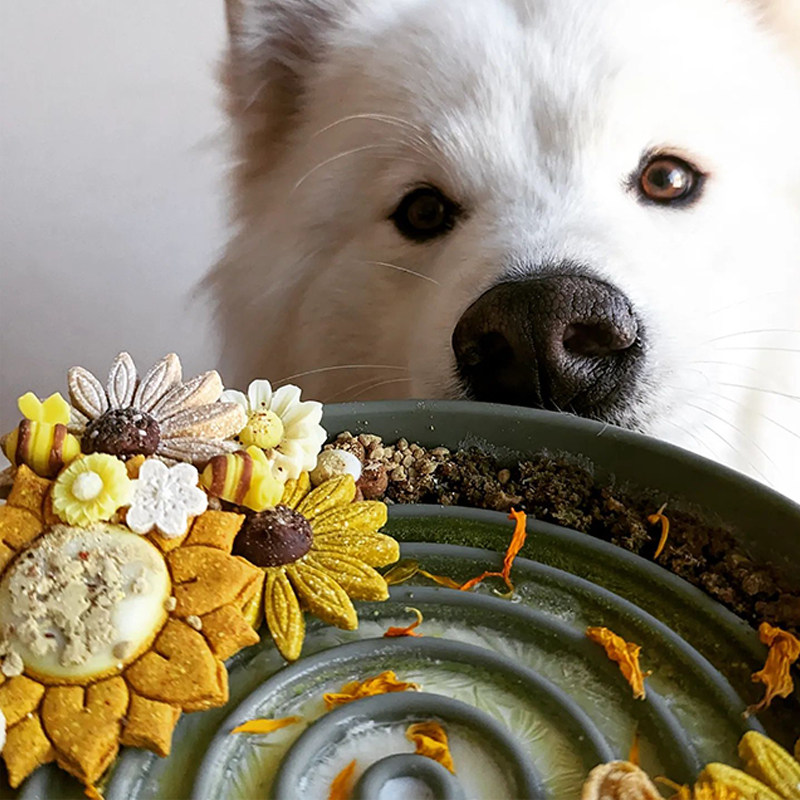 宠物硅胶慢食碗猫咪狗狗喂食碗舔食垫缓食益智丰容玩具吸盘防打翻,淘宝优惠券,粉丝福利购,淘宝优惠卷