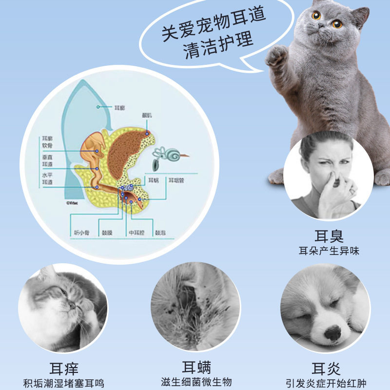 宠物耳部清洁棉棒舒缓清理耳螨棉签掏耳朵耳道猫狗专用宠物棉签,淘宝优惠券,粉丝福利购,淘宝优惠卷