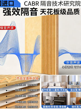 德国进口【可移除超环保】吸音板
