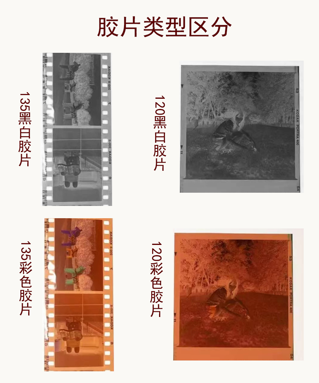 店长推荐各种老底片胶片胶卷冲洗实物照片扫描转电子档 - 图3