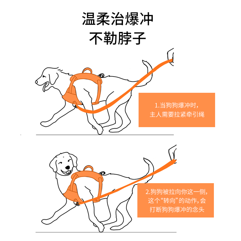 狗狗牵引绳中型大型犬金毛马犬胸背带背心式狗链子遛狗小型犬狗绳