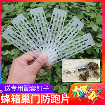 Plastic Queen Bee anti-Run sheet Bee Special Anti-Escape Sheet Bee Box Nest Door Theft Protection Sepp King and Beekeeper Beekeeper tool