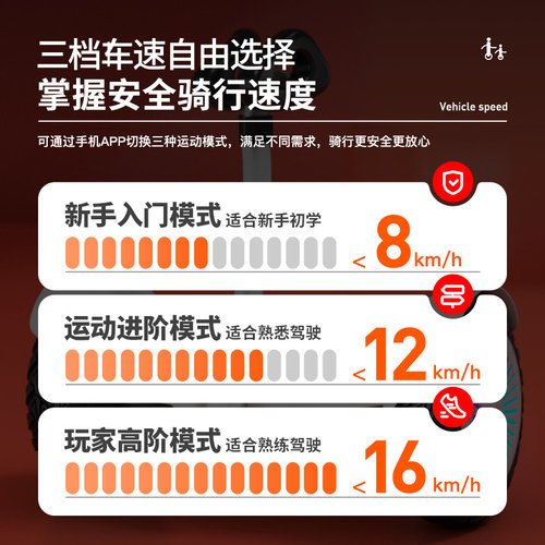 领奥儿童电动智能平衡车6到8到12岁10到15岁以上2026新款成人自动 - 图2