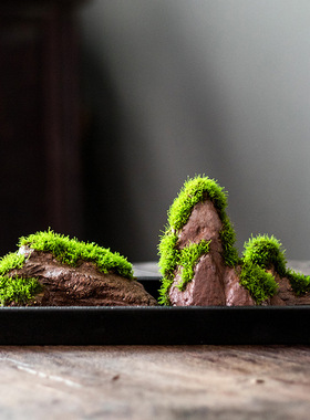 新款禅意吸水石假山苔藓植物盆景盆栽微景观吸水瓷家居创意摆件