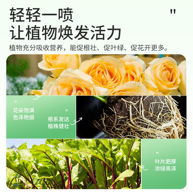 施可丰免稀释营养液植物通用型发财树富贵竹绿萝页面喷施盆栽肥料,淘宝优惠券,粉丝福利购,淘宝优惠卷