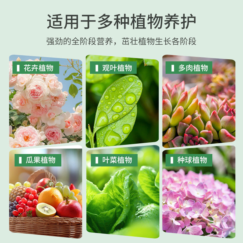 施可丰营养液植物通用型花肥盆栽水培发财树富贵竹专用绿植养花卉,淘宝优惠券,粉丝福利购,淘宝优惠卷