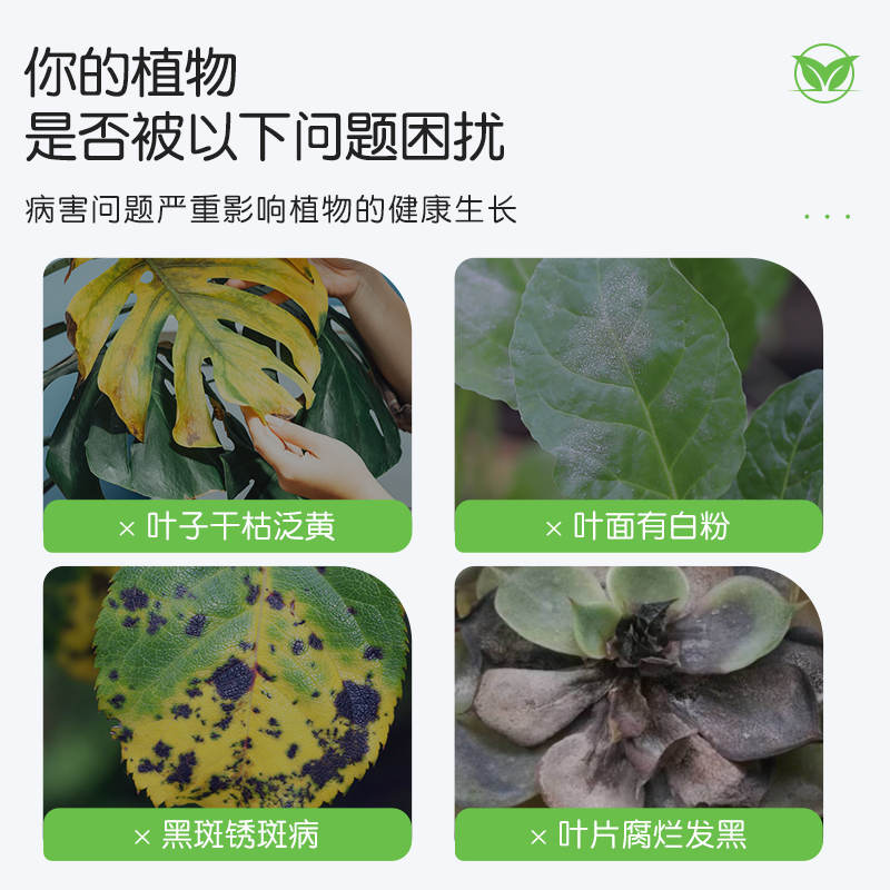 多菌灵花药多箘灵白粉百菌清多肉兰花黑斑专用花卉植物通用杀菌剂 - 图0