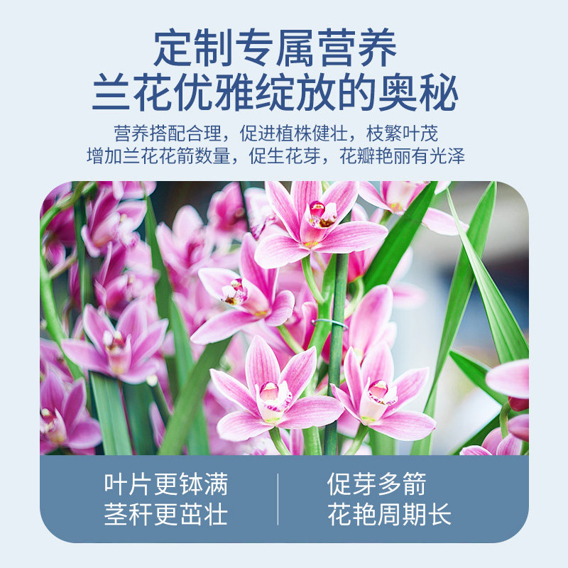 施可丰兰花多箭素爆芽素肥料蝴蝶兰专用营养液促开花兰灵王旗舰店,淘宝优惠券,粉丝福利购,淘宝优惠卷