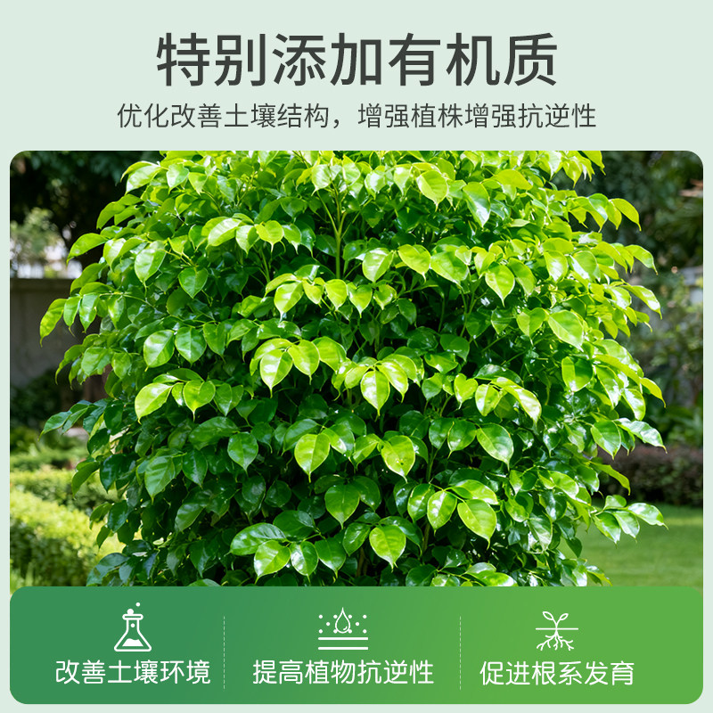 施可丰幸福树专用营养液肥料专治叶子干枯落叶阳台绿植盆栽植物用,淘宝优惠券,粉丝福利购,淘宝优惠卷