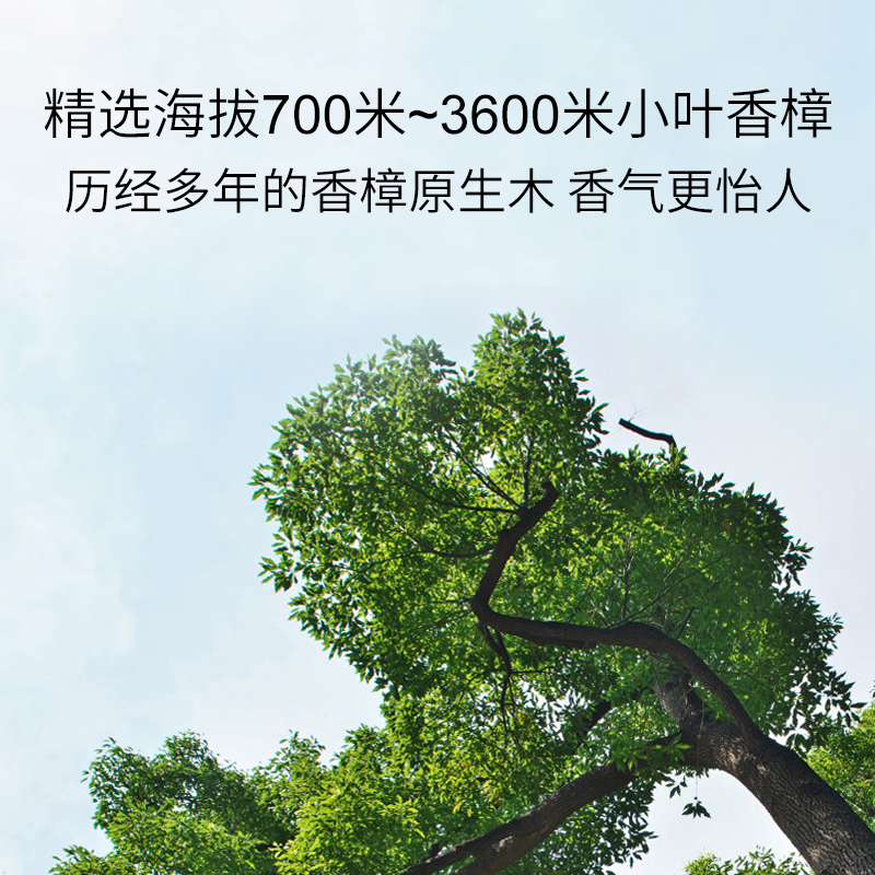 绽家樟木条去异味防霉防虫防蛀香樟原生木香家用衣柜书柜卧室除味