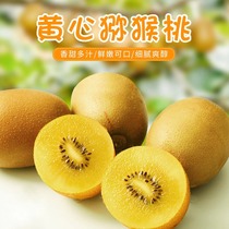 Sichuan Yellow Heart Macaque Peach Fresh Great Fruits When Season Whole Boxes Chic Isot Pregnant Women Fruit Zhengzong Busjiang Miya Monkey Peach