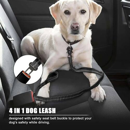 Reflective Shock Absorbing Pet Leashes with Car Seatbelt for - 图1