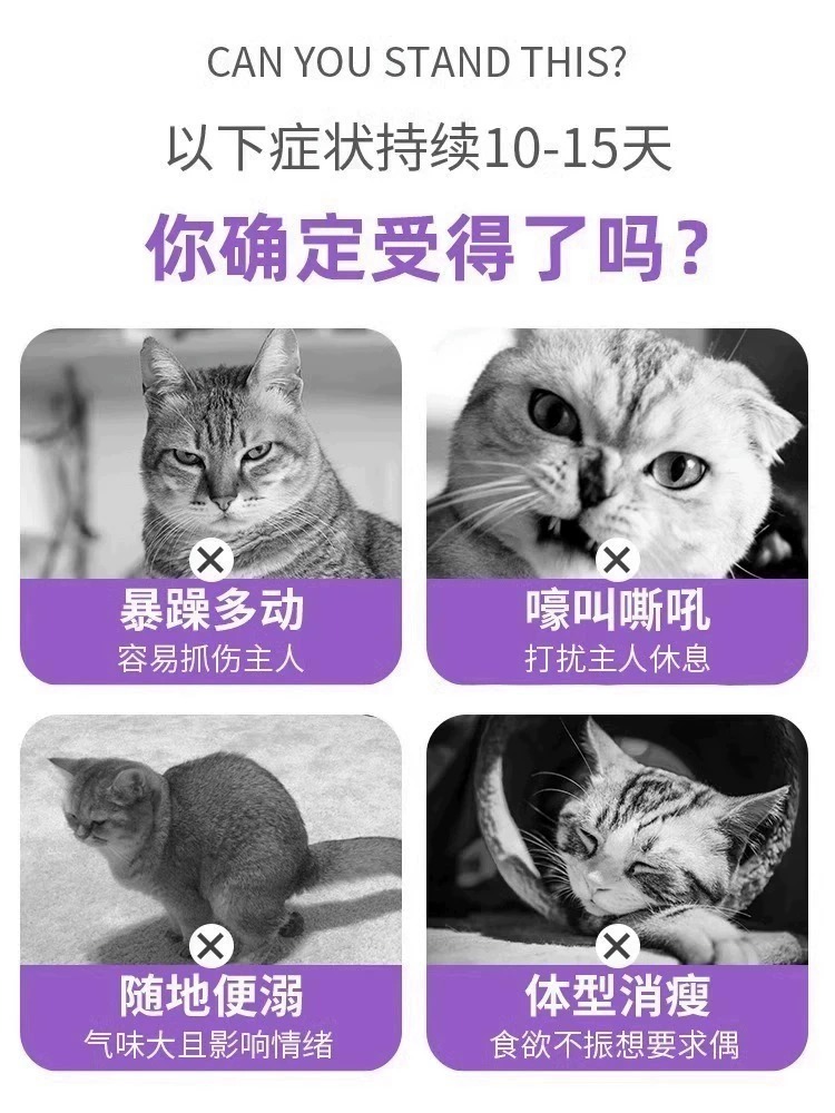 猫咪发情抑制药母猫专用绝育禁情粉公猫抑情宝猫发情期的液片喷雾-图0