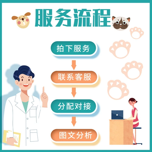 Оценка кошек домашние животные Pets Puppet Cat Dog and Dog Shiba Inu Идентификация цена Golden Getse Assulation Corki Bianpu