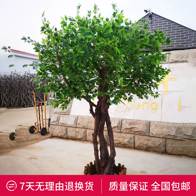 仿真榕树金色榕树假树室内装饰大型植物酒店商场道具许愿树樱花树_虎窝淘