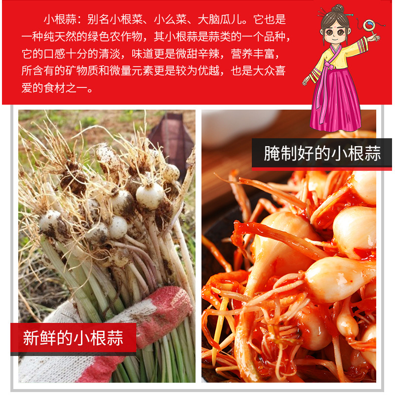 东北朝鲜族小根蒜泡菜小头蒜大脑瓜韩式延边咸菜下饭小菜250g袋装 - 图1