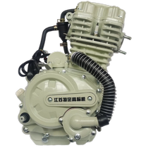 Zongshen engine 250 tsunami 300 to defend the 350 Surge Engine Warfare water cooled air-cooled three-wheeled motorcycle engine head