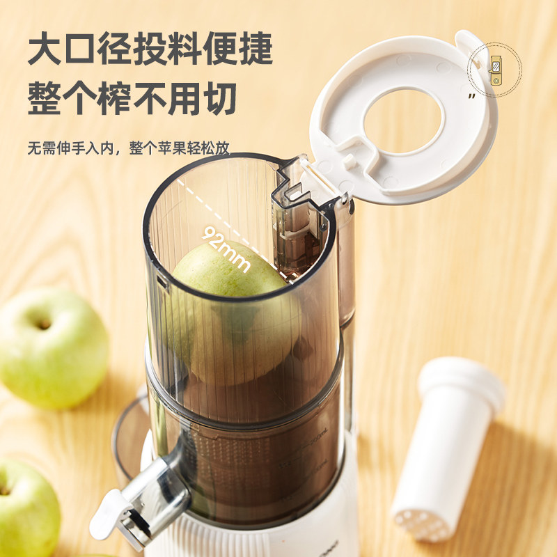 摩动汁渣分离家用炸水果汁榨汁机 摩动榨汁机