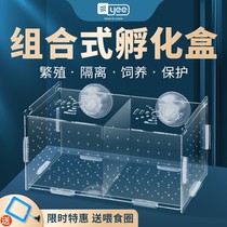 Peacock fish breeding box Hatching Case Acrylic Fish Tank Isolation Box Spawning fish eggs Breeding Box Small Fish Production House