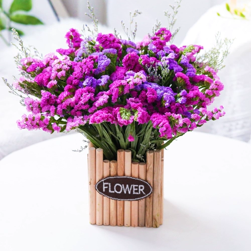 Забудьте меня, звезды сухие цветы Букт настоящие цветы натуральные свежие свежие гостиные мебель