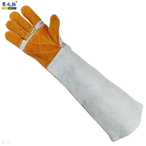 Pet anti dog bite Divine Instrumental Training Dog Gloves Anti Cat Grabbing cut nail hamster Rat Anti bite thickened Long version resistant to tear