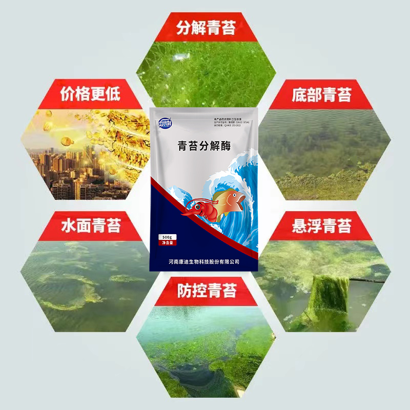 青苔清除剂鱼塘水产养殖专用去除青苔不伤水草青苔克星鱼池除藻剂-图1