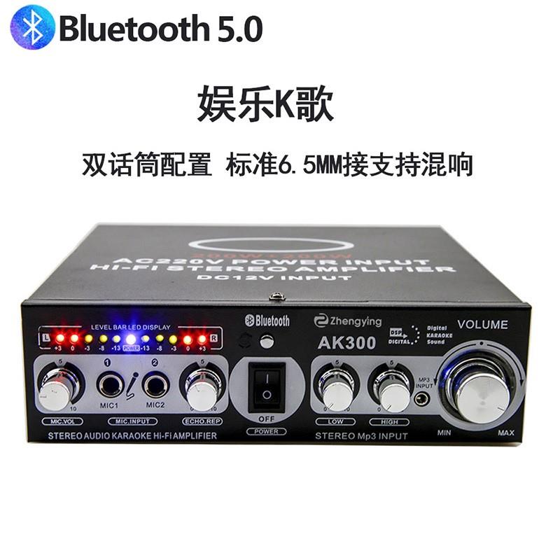 迷你小型蓝牙功放机家用音箱直流12V220V大功率hifi发烧定阻功放-图0