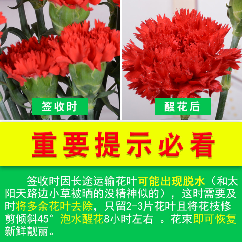 鲜花云南直发康乃馨鲜花束送妈妈生日批发向日葵花瓶插花昆明速递,淘宝优惠券,粉丝福利购,淘宝优惠卷