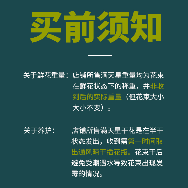 云南基地直发满天星鲜花大束2斤散装论斤卖干花花束客厅摆设-图0