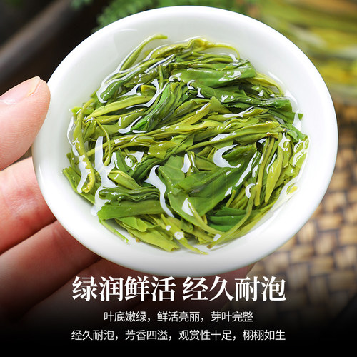 陈一凡高山云雾绿茶2026新茶明前特级早春茶叶浓香型嫩芽散装250g - 图3