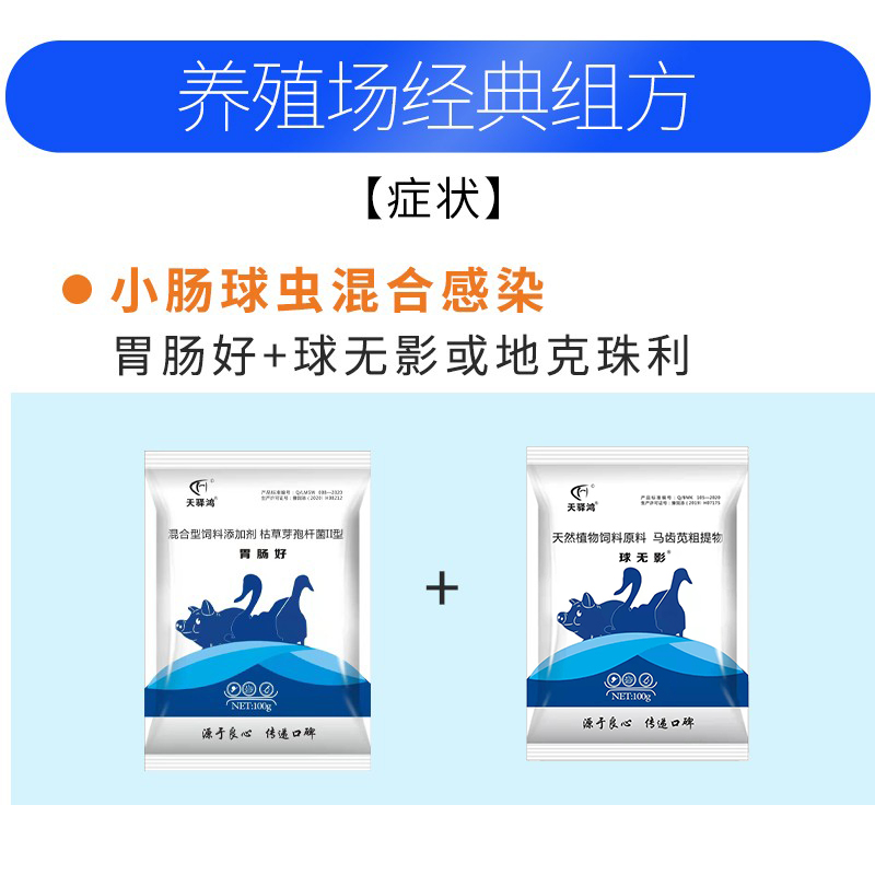 禽用肠炎肠毒黄白痢血便拉稀鸡鸭腹泻过料坏死性肠炎球虫黄黑稀便 - 图2